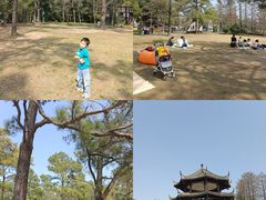 -东湖落雁景区