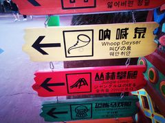 -杭州乐园