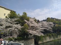 -素清香(解放路店)