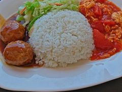 红烧狮子头盖饭-田老师红烧肉(上地二店)