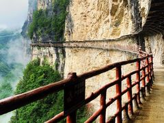 -鹿院坪生态旅游景区