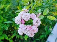 -瀛海足球主题公园