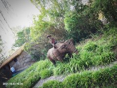 -溱湖国家湿地公园