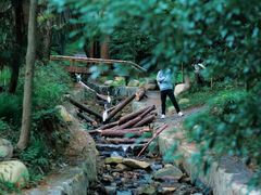 -东明山森林公园