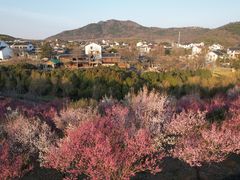 -石塘人家