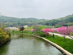 -苏州上方山国家森林公园