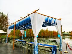 -白鹭湾湿地公园