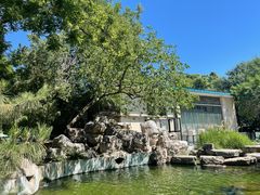 -护国寺小吃(新街口店)