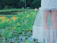 -槟城植物园