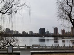 -莲花池公园