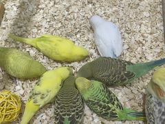 -三旗百汇商品城