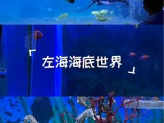 -左海海底世界