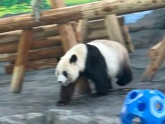 -秦皇岛野生动物园