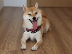 -弥舍·湖景团建泳池派对别墅·湖山境店