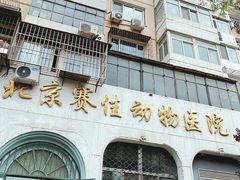 -北京赛佳动物医院