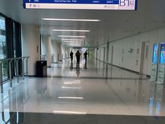 -首都医科大学附属北京天坛医院