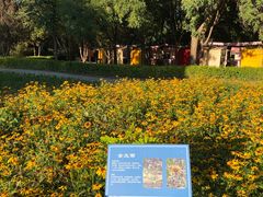 -太阳宫公园