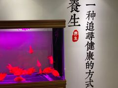 -金蚁康•经络调理•肩颈按摩(万达金街店)