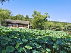-承德避暑山庄景区