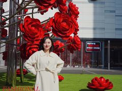 -重庆市江北嘴中央商务区中央公园