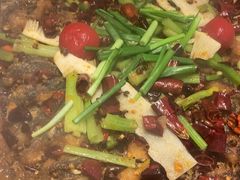 -老板恋上鱼(恒隆广场店)