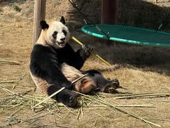 -杭州野生动物世界