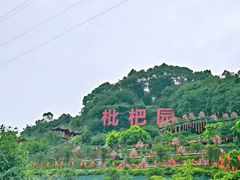 -伴山茶苑·围炉煮茶