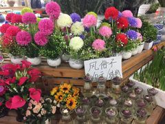 -无锡文化工艺品市场(槐古路店)