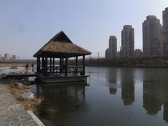 景点-前关湿地公园