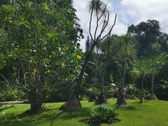 -中国科学院西双版纳热带植物园