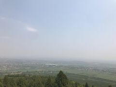 -盛唐府乾州酸汤面