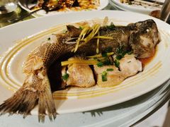 清蒸鲈鱼-眉州东坡(华联万柳店)