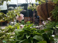 -漫渡庄绿岛花园•隐世庭园菜(滨湖店)