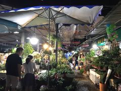 -曲阳花鸟市场(曲阳路店)