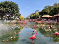 -广州莲花山旅游区