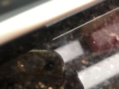 -中国工商银行(上海市徐汇支行华山路支行)