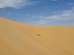 -亿利库布其七星湖沙漠生态旅游区