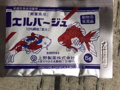 -武汉花鸟市场