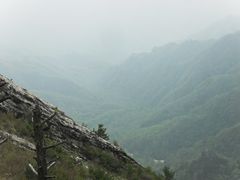 朱雀森林公园-朱雀国家森林公园