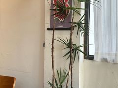 -肥朵食堂(带梦胡同店)