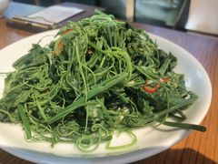 木姜子拌丝瓜尖-一坐一忘云南菜(三里屯店)