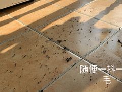 -BALENCIAGA(比斯特苏州购物村店)