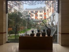 -九华山聚龙大酒店