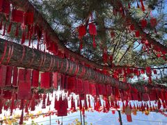 -云蒙山风景区