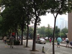 -西北大学(桃园校区)