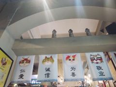 -猫咪博物馆(顶澳仔猫街店)