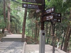 -铁山坪森林公园