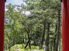 -玉渡山自然风景区