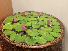 -第六季自助餐厅(北太平庄店)