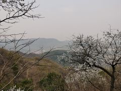 -北京西山国家森林公园